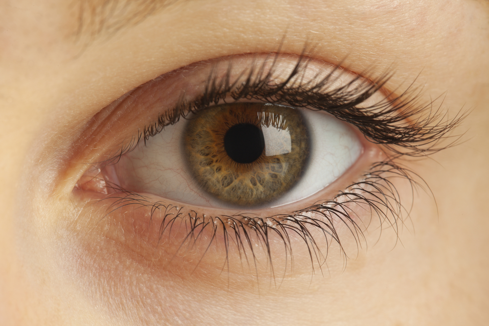 High Definition Vision